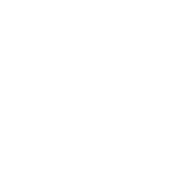 BJM Pumps