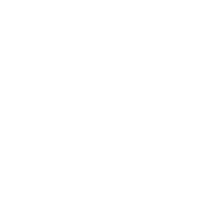 Logos_pioneer-pump-600x600