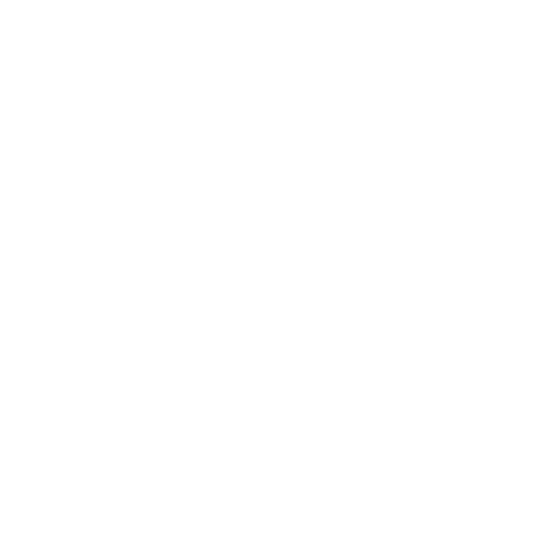 Pioneer Pump
