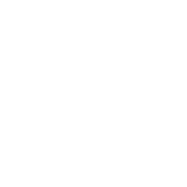 Sulzer